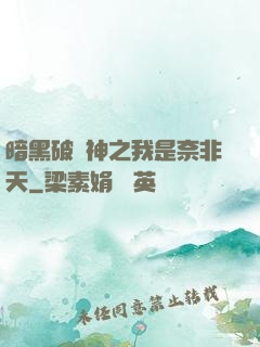 暗黑破壞神之我是奈非天